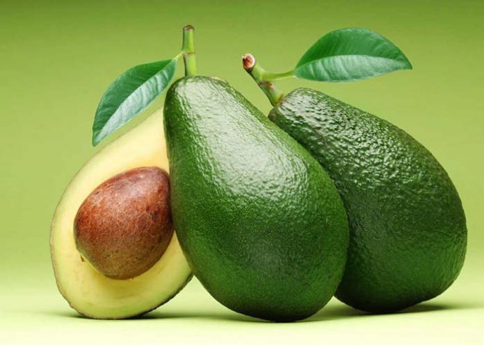 Untitled-1_q6wVChU aguacata hass