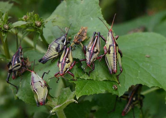 Untitled-1_rYe4xyl el salvador