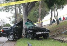 Accidente vial deja cuatro niños muertos en Carolina del Sur accidente