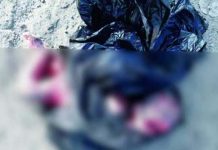 Asesinan a puñaladas a bebé recién nacido en El Salvador bebe muerto