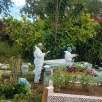 Desconocidos se roban cadáver con todo y ataúd en cementerio de Honduras cementerio