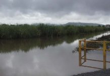 lluvias