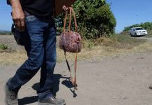 El Salvador: Pandilleros del Barrio 18 violan y asesinan a hermanas policia de el salvador