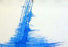 Fuerte sismo de 5 grados causa pánico en Guatemala sismografo