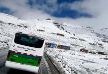 Inusual nevada genera estragos en el sur de Perú