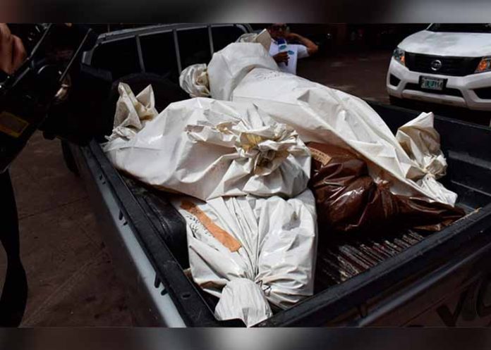 Untitled-1_xchWJ3I cadaveres