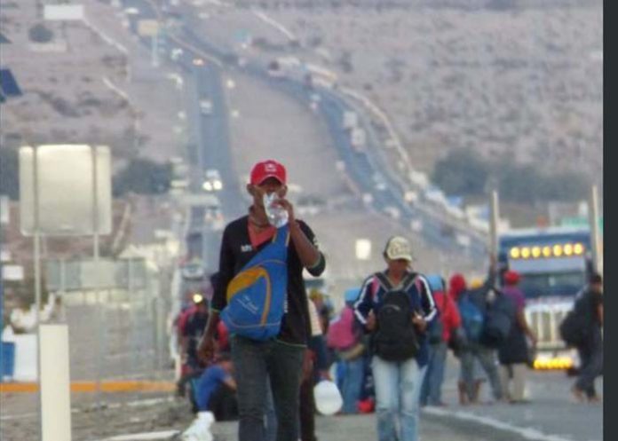 Untitled-1_yLQAgW5 caravana de migrantes