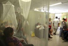 Ministerio de Salud de El Salvador teme brote epidémico de dengue el salvador