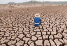 Cambio climático aumentará migración de centroamericanos, dicen especialistas sequia