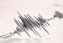 Temblor de 5 grados en la escala Richter sacude el norte de Chile sismografo