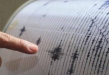 Fuerte sismo de 5,2 sacude la costa sur de Chile sismografo