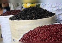 Honduras fortalece exportaciones de frijol negro venta de frijoles