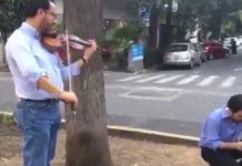 El violinista que calma a la gente durante el terremoto en México violinista de mexico