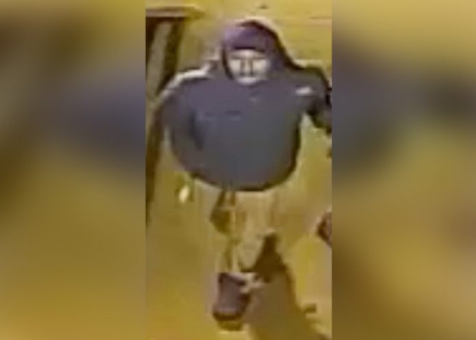 policia de nueva york