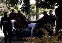 «Mamá mató a papá»: El violador tenía 185 puñaladas (Video) argentina