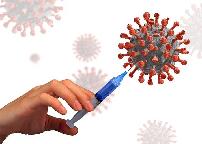 Virus_K3356wN estados unidos