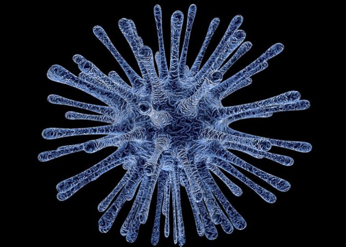 Virus_mkmoex2 nino muerto