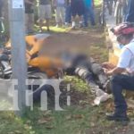 nicaragua, carretera sur, fallecido, motociclista,