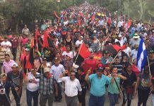 caminata por la paz