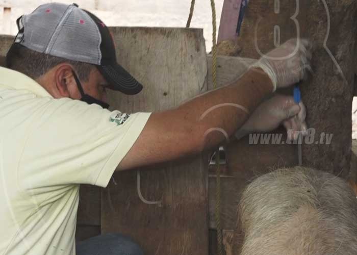 WhatsApp_Image_2020-07-14_at_10.33.50 nicaragua