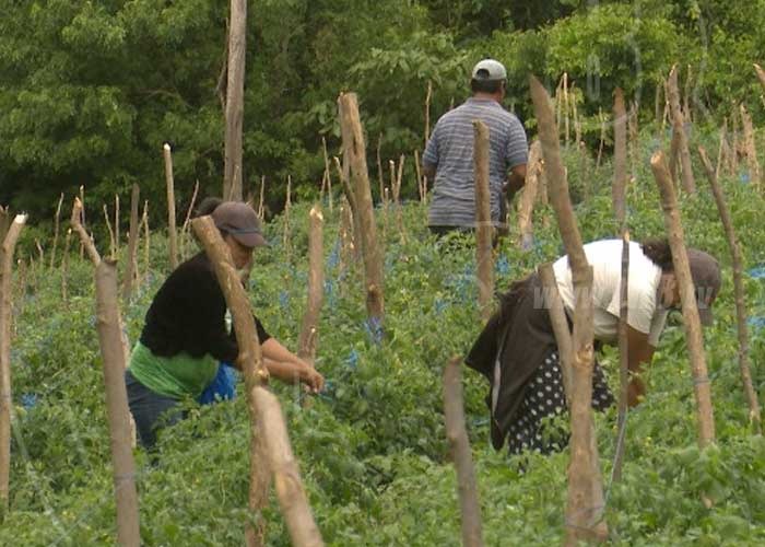 WhatsApp_Image_2020-07-30_at_10.26.35 nicaragua