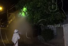 Bomberos exterminan cinco enjambres de abejas en Boaco boaco