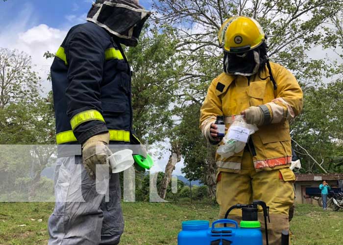 abejas-1_pLAaXej nicaragua