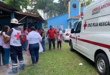 Abejas atacan a feligreses durante vía crucis? en México mexico