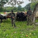 Ejército de Nicaragua refuerza seguridad en la zona rural del país nicaragua