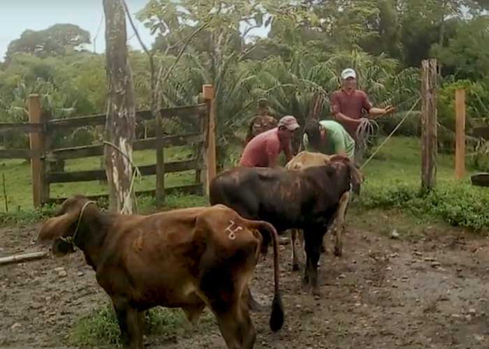 abigeo-nicaragua-2 nicaragua