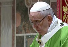 Papa: La Iglesia llevará a la justicia a los abusadores papa francisco