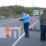 Ciudadano fallece al ser atropellado por microbús en Carretera Sur nicaragua