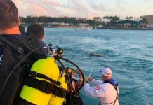 Dos mujeres mueren dentro de un carro que cayó de un ferry en Miami estados unidos