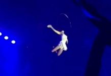 Así cayó una acróbata de 10 metros de altura (Videos) acrobata