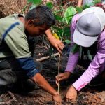 INAFOR anuncia el primer congreso internacional forestal nicaragua