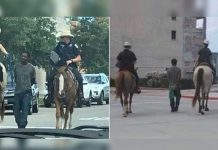 estado unidos