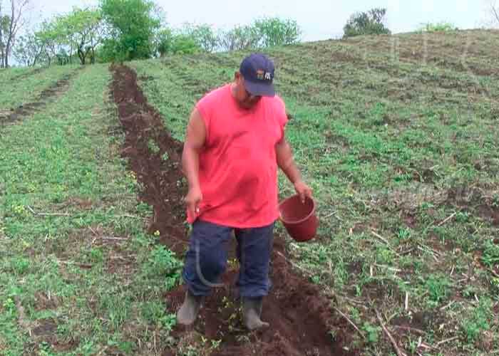 agricola-nicaragua-01 nicaragua