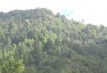 Promueven ruta turística de áreas protegidas en Nueva Segovia nicaragua