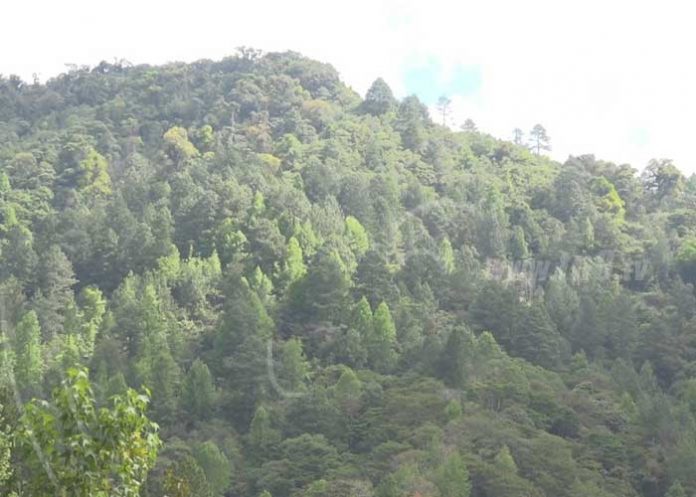 agua-4_CT42sZq nicaragua