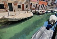 La cuarentena en Venecia vuelve cristalina el agua de los canales venecia