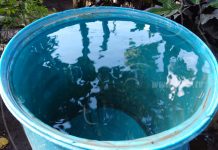Cisternas con agua garantizan abastecimiento en barrios de Managua nicaragua