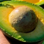 aguacate