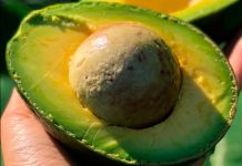 Esta es una razón más para amar el aguacate aguacate