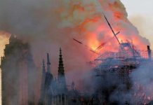 Torre principal de la catedral de Notre Dame se derrumba (video) francia