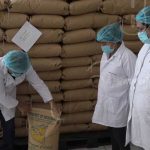 Cooperativa Del Campo se mantiene firme exportando ajonjolí descortezado nicaragua