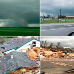 Al menos 22 muertos por un tornado en Alabama, EE.UU. 14 muertos