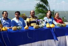 Inmigración y lucha contra el cambio climático, ejes de la cumbre de alcaldes en EEUU nicaragua
