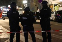 Encuentran muerto al sospechoso de los tiroteos en Alemania alemania