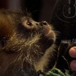 Algo extraño sucede en el municipio de Nandaime, Granada nicaragua