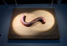 Pene de toro y queso de gusanos en el museo de la comida asquerosa suecia